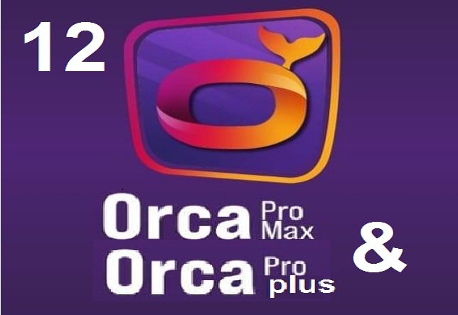 Ariana Ville Ariana Cables et accessoires Autre accessoire  Abonnement orca pro plus pro max 12 mois