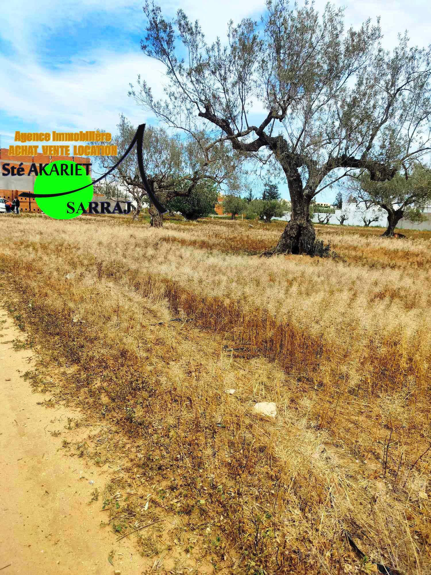 Hammam Sousse El Kantaoui Terrain Terrain agricole Lot 284m zone des villas en face htel royal kenz